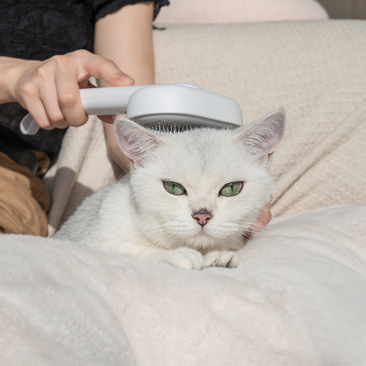 aumuca Self Cleaning Slicker Cat Brush with Release Button, Cat Brushes for Indoor Cats Shedding, Cat Brush for Long or Short Haired Cats, Cat Grooming Tool